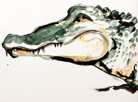 Alligator Painting Acrylics, Inslee Haynes, Alligators Art, Florida Art, Crocodiles, Beach Art, A Drawing, Art Plastique, Animal Paintings