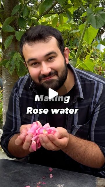 Joseph Clark on Instagram: "Today we are back and I am sharing with you my quick tip to transform roses from the garden, into the most amazing rose water. 

Rose water can be used for a wide range of home uses, from cooking, baking or even perfumes and skin care. I love to add it to my home baking to give it a slight floral favour. Just be careful not to over do it, as even a few drops can be very strong. 

I like to use fresh organic roses from my garden to make my rose water, as I know where they have been. You can use roses bought in the shops to do this, as it will work, but I personally wouldn’t. Those roses will usually have quite a few things sprayed onto the petals, which will end up in your rose water. 

I like to store mine in the fridge, where it has kept for many months in the How To Make Rose Water, What To Do With Rose Petals, Make Rose Water, Making Rose Water, Rose Water Diy, Fresh Rose Petals, How To Make Rose, Body Lotions, We Are Back