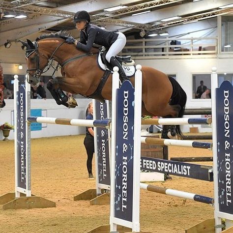 Show Jumping Competition, Horse Jumping Aesthetic, Show Jumping Aesthetic, Jumping Aesthetic, Pony Jumping, Horses Jumping, Equestrian Jumping, Horse Competition, Horse Lessons