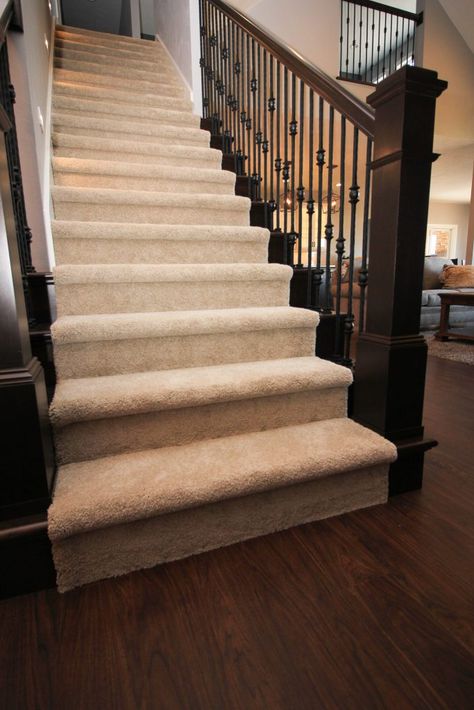 Light Beige Carpeted Staircase Dark Wood Staircase, Stairs With Carpet, Carpeted Staircase, Internal Stairs, Carpet On Stairs, Carpet Staircase, Wealthy Life, Stair Well, Staircase Railing