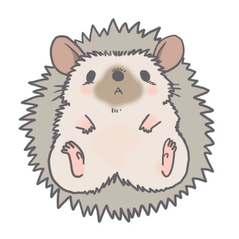 Kawaii Hedgehog Drawing, Easy Hedgehog Drawing, Drawing Of Hedgehog, Hedgehog Drawing Cute, Hedgehogs Drawing, Cute Hedgehog Drawing, Hedgehog Drawings, Kawaii Hedgehog, Hedgehog Drawing