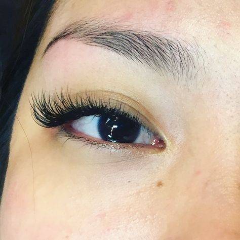 Flared Lash Extensions, Fan Eyelash Extensions, Classic Lash Extensions With Fans, Pre Made Fan Lash Extensions, Sharp Cat Eye Lash Extensions, Flared Lashes, Lash Growth, Perfect Eyelashes, Lash Extensions Styles