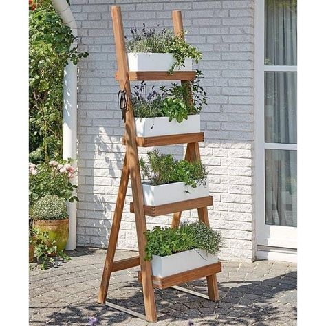 Garden Ladder Ideas, Vertical Herb Gardens, Garden Ladder, Vertical Garden Design, Vertical Gardens, Garden Types, White Planters, Terracotta Planter, Apartment Garden