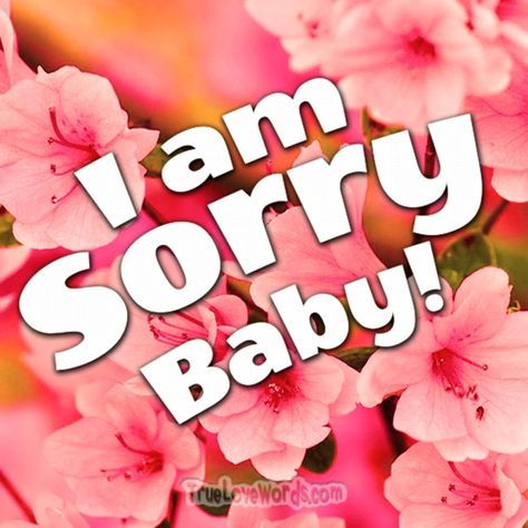 42 Sorry Text Messages – Sincere Ways To Say I Am Sorry Sorry Text Messages, Sorry Text, Sorry Sticker, Ways To Say Sorry, Sorry Baby, Please Forgive Me, Romantic Messages, True Love Quotes, Saying Sorry