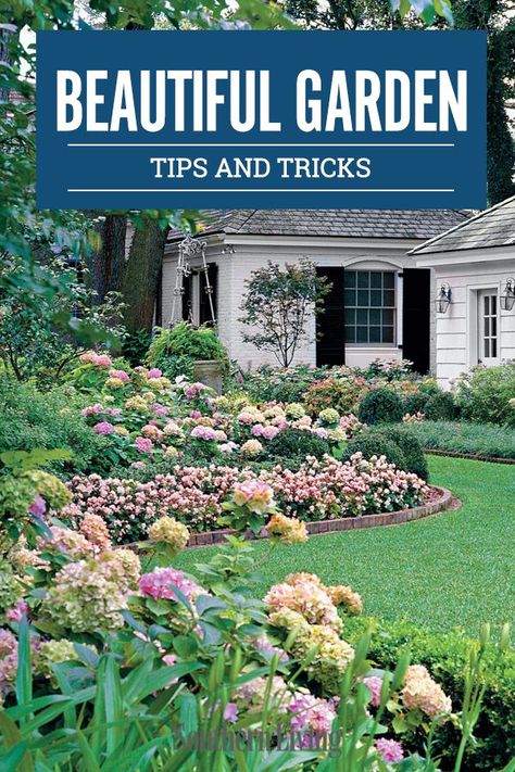 Following some simple rules, you can create a beautiful garden. #gardening #beautifulgardens #southerngarden #southernliving Southern Garden Landscaping, Graduation Party Backyard, Garden Design Drawing, Graden Design, Diy Patio Garden, Landscaping Backyard Ideas, Ideas Backyard Patio, Landscaping Backyard, Diy Backyard Patio