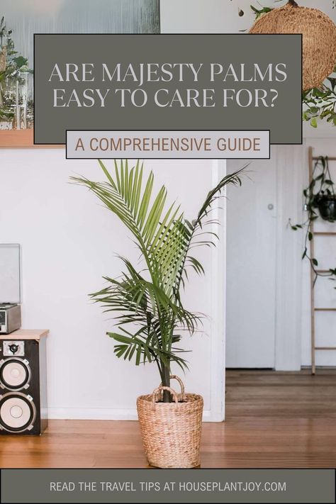 Majesty Palms: Your Easy-Care Tropical Oasis 🌴✨ Dreaming of a touch of the tropics? Majesty Palms are your answer! 💫 Incredibly easy to care for, these elegant beauties will thrive in your home. Let's unlock the secrets to a happy, healthy Majesty Palm! #majestypalm #houseplants #easycareplants #tropicalvibes #indoorjungle #plantparent Majesty Palm Care, Majesty Palm, Tropical Oasis, Easy Care Plants, Indoor Jungle, Happy Healthy, Tropical Vibes, House Plants, Oasis