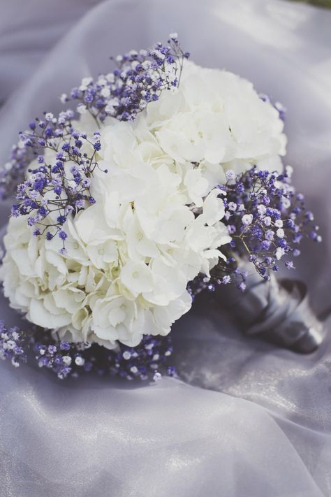 Hydrangea and lavender bouquet. Did this for my August wedding. Flowers from Costco! Bride Flower Bouquet Lavender, Purple Hydrangea Bouquet Wedding, Light Purple And Light Blue Bouquet, Wedding Bouquets Hydrangea Purple, Periwinkle Flower Bouquet Prom, Lavender Bouquet, Hydrangea Purple, August Wedding, Hydrangea