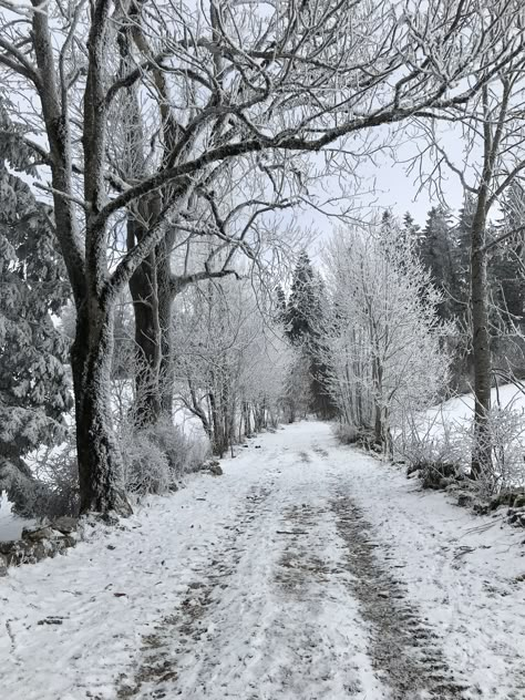 Winter Town Aesthetic, Winter Outdoors, Snowy Weather, Winter Watercolor, Winter Inspo, Weather Seasons, Snowy Forest, Winter Scenery, Snowy Day