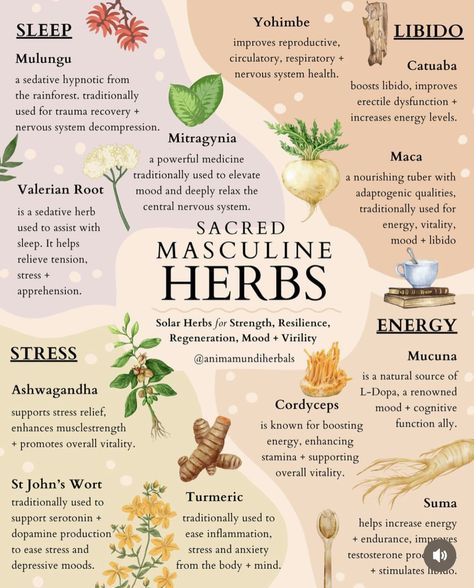 Sun And Sky, Sacred Masculine, Medicinal Herbs Garden, Medical Herbs, Physical Healing, Herbal Apothecary, Natural Healing Remedies, Herbal Healing, Chill Pill