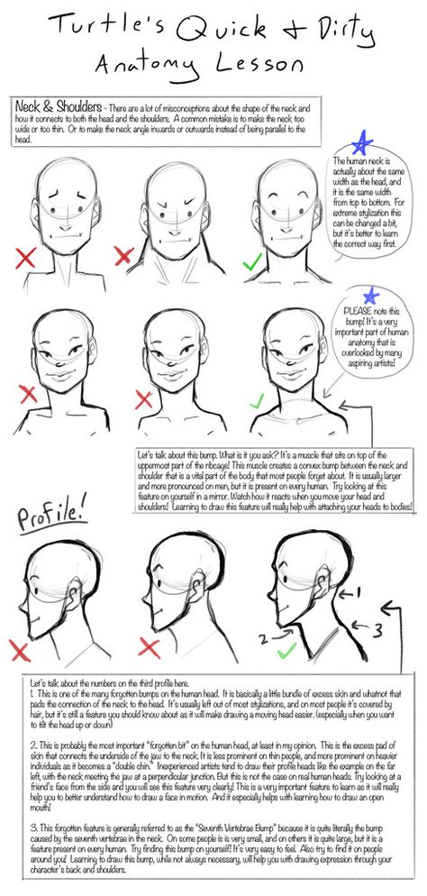 Q+D Anatomy Lessons- Neck and Shoulders by Turtle-Arts on deviantART on We Heart It Side View Drawing, Anatomy Lessons, 얼굴 드로잉, Anatomy Tutorial, Drawing Heads, Turtle Art, Anatomy Drawing, Poses References, Guided Drawing