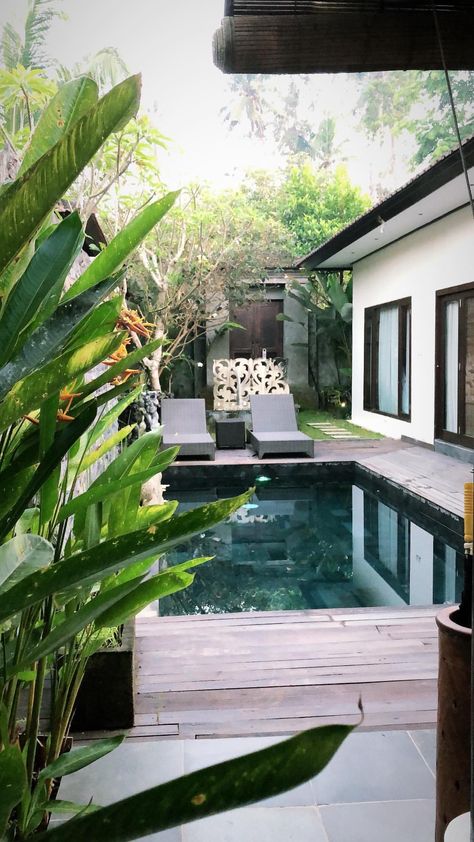 Ubud Bali, Green Theme, Bali Travel, Private Villas, Infinity Pool, Ubud, Dream Destinations, Asia Travel, Private Pool