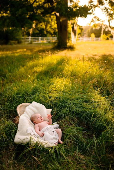 3 Month Newborn Pictures, Newborn Spring Pictures, Newborn Pics Outside, Field Newborn Photoshoot, Newborn Nature Photography, Newborn Photo Outdoor, Newborn Garden Photoshoot, Newborn Outdoor Photoshoot Summer, Garden Newborn Photography