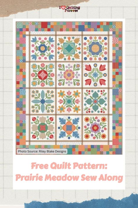 Free Quilt Pattern: Prairie Meadow Sew Along Sampler Quilt Patterns, Prairie Meadow, Prairie Garden, Garden Quilt, Sampler Quilt, Quilt Patterns Free, Quilting Crafts, Pastel Hues, Quilt Pattern