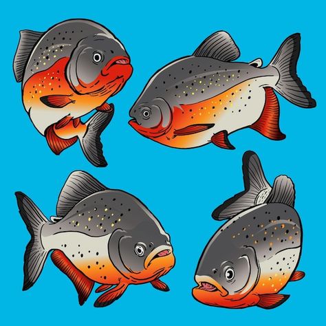 Pirhana Fish Drawing, Piranha Tattoo, Piranha Fish, Drawing Fish, Raw Fish, Stuff To Draw, Fish Drawings, Fish Fish, Fish Market