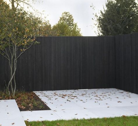 Low Fence Ideas, Low Fence, Small Backyard Garden Design, Black Fence, Front Fence, Wood Gate, Gravel Garden, Small Backyard Gardens, Exterior Wall Design