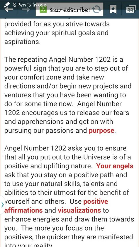 1202 after hike Angel Number Meaning, Angel Number Meanings, Number Meanings, Spiritual Meaning, Angel Number, Spiritual Guidance, Angel Numbers, New Directions, Words Of Wisdom