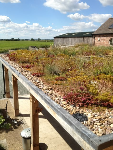 Green Roof Design, Green Roof Garden, Sedum Roof, Green Roof System, Carport Designs, Living Roofs, Roof Architecture, Organic Farm, Rooftop Garden