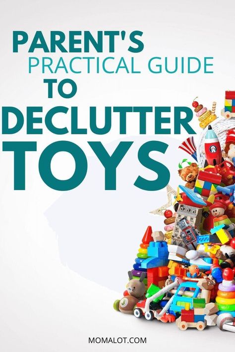 Declutter Toys, Toy Clutter, Kid's Playroom, Tips For Parents, Decluttering Tips, How To Declutter, Real Mom, Real Moms, Science Kits