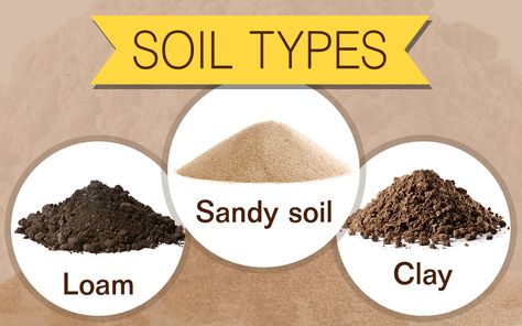 Soil Type, Garden Tool Organization, Physical And Chemical Properties, Beef Tips, Soil Testing, Soil Layers, Plant Science, Sandy Soil, Garden Nursery