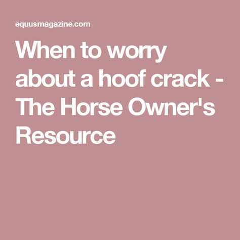 When to worry about a hoof crack - The Horse Owner's Resource Hoof Care, Horse Owner, Horse Health, Horse Care, The Horse, A Horse, Horseback Riding, No Worries, Horses