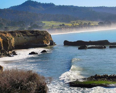 Pescadero California, What To Do Today, To Do Today, In November, Tourist Attraction, Bay Area, This Weekend, Places To See, Trip Advisor