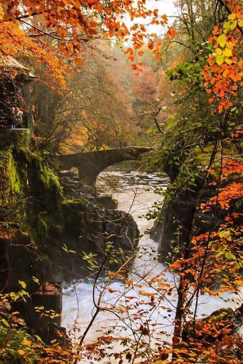 The Hermitage viewpoint during Autumn, Scotland Autumn Scotland, Autumn Scenes, Wood Home, Male Photography, Autumn Scenery, England And Scotland, Fashion Decor, Autumn Beauty, Isle Of Skye