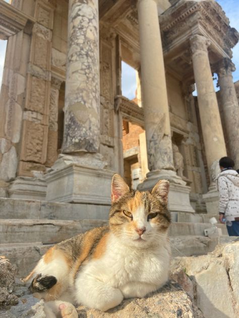 Ancient Turkey Aesthetic, Greek Aesthetic, Ephesus Turkey, Holiday Stories, Euro Summer, European Summer, Story Ideas, Mood Board, Greece