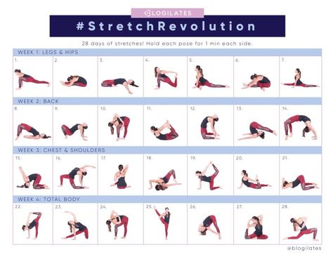 28 Days to a Flexible Body – Blogilates #stretching #28daychallenge #healthliving #sippinhannah Stretch Challenge, Flexibility Challenge, Month Workout Challenge, Flexible Body, 28 Day Challenge, 30 Day Fitness, Popular Workouts, Restorative Yoga, Fitness Challenge