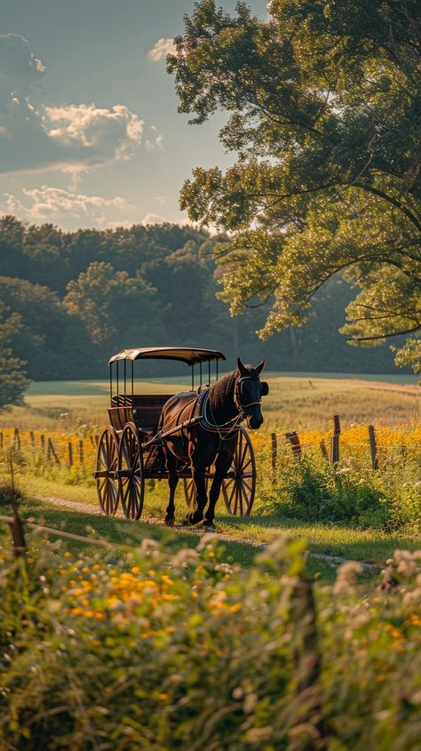 #Horse-drawn carriage ride: A #tranquil #horse-drawn #carriage ride along a #scenic path bordered by lush meadows and forests. #horse #carriage #nature #scenic #tranquil #aiart #aiphoto #stockcake ⬇️ #Download and 📝 #Prompt 👉 https://stockcake.com/i/horse-drawn-carriage-ride_581610_976025 Carriage Aesthetic, Carriage Ride, Horse And Carriage, Horse Carriage Aesthetic, Horses Carriage, Horse Buggy Carriage, Horse Drawn Carriage Aesthetic, Horse Leads, Horse Drawn Wedding Carriage