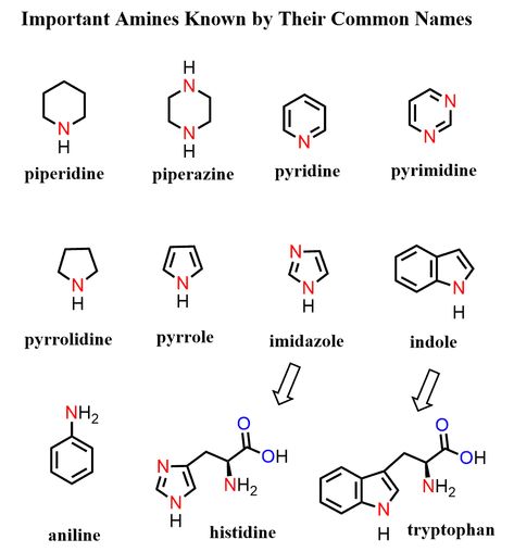 Naming Amines: Systematic and Common Nomenclature - Chemistry Steps Nomenclature Chemistry, Chemistry Reactions, Chemistry Lecture, Organic Chemistry Notes, Organic Chemistry Reactions, Organic Chem, Chemistry Paper, Chemistry Textbook, Organic Chemistry Study