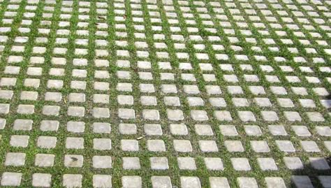 Permeable driveways are a fantastic way to control rain water, excess water and runoff. Find out how to build a permeable driveway and prevent excess rainwater collecting Bushes Landscaping, Grass Pavers Driveway, Permeable Pavers Driveways, Driveway Ideas Cheap, Grass Driveway, Permeable Driveway, Grass Pavers, Diy Driveway, Diy Doctor