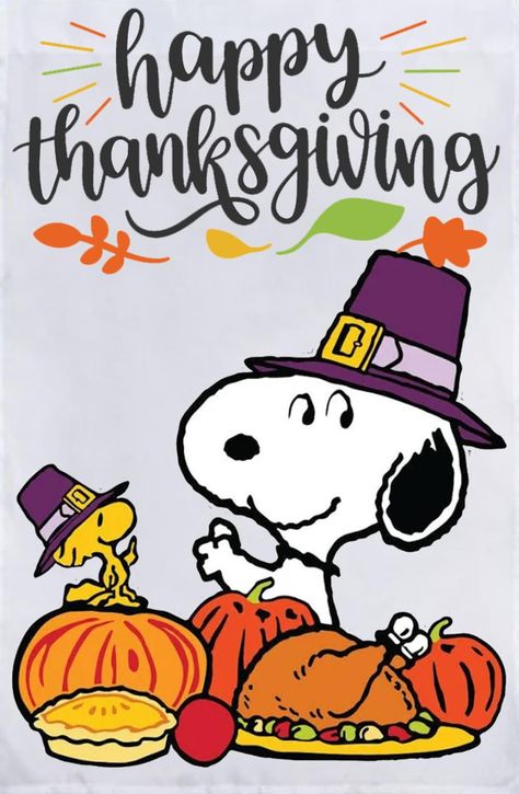 Thanksgiving Snoopy, Happy Thanksgiving Wallpaper, Peanuts Thanksgiving, Happy Thanksgiving Pictures, Thanksgiving Cartoon, Happy Thanksgiving Images, Charlie Brown Thanksgiving, Thanksgiving Pictures, Snoopy Funny