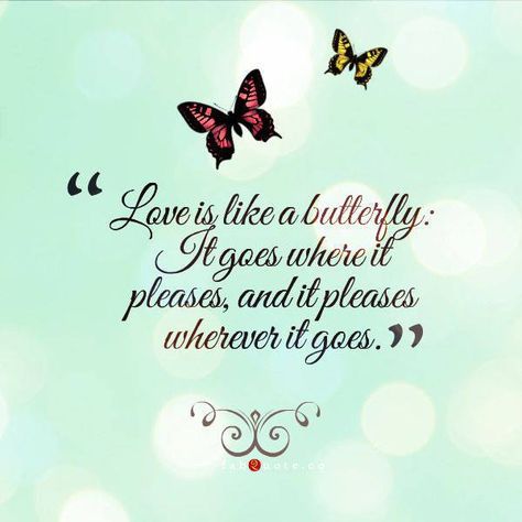 Love is like a butterfly It goes where it pleases, and it pleases wherever it goes. Quotes About Butterflies, Butterfly Love Quotes, Love Is Like A Butterfly, Butterfly Blessings, Butterfly Poems, Butterfly Quote, About Butterflies, Barbie Quotes, Quiet People