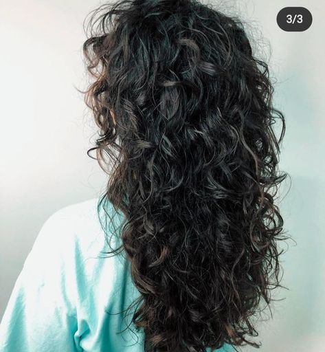 Long Curly Hair From The Back, V Shaped Haircut With Layers Long Hair Curtain Bangs, Curly Hair Shag Haircut Long, Shaggy 2c Hair, Long Layered Haircuts With Face Framing Curly Hair, Curly Shag Long, Long Curly Shag Haircut, 2b Haircut, 2c Haircut