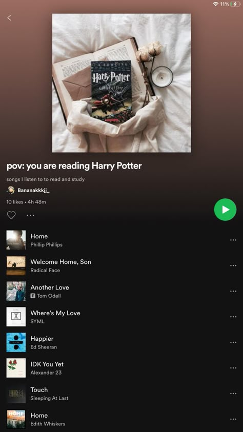 Book Inspired Playlist, Harry Potter Playlist Names, Pov Spotify Playlists, Harry Potter Songs, Hogwarts Playlist, Playlist For Reading, Harry Potter Playlist, Reading Harry Potter, Harry Potter Song