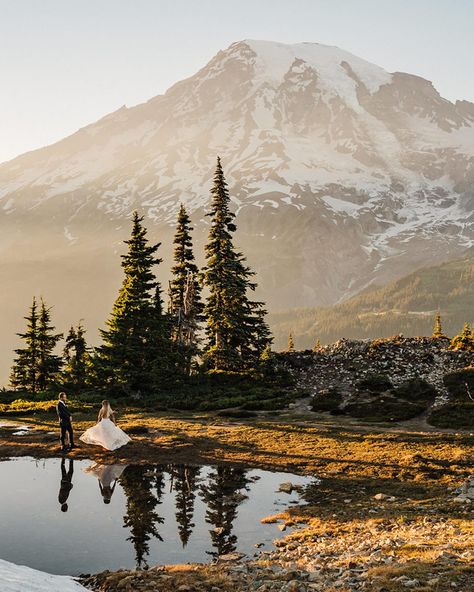 A Complete Guide to Planning Your Mt Rainier Elopement - Between the Pine Mt Rainier Wedding, Mt Rainier Elopement, Rainy Engagement Photos, Mountain Photoshoot, Forest Elopement, Crystal Mountain, Joshua Tree Elopement, Mt Rainier National Park, How To Elope