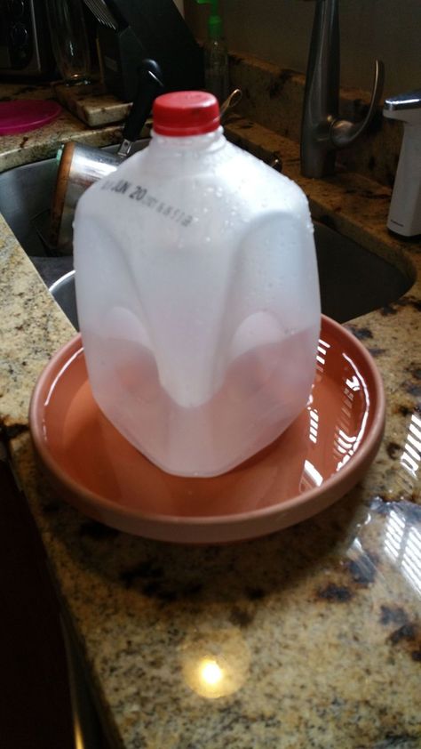 Homemade Chicken Waterer - Milk Jug | BackYard Chickens - Learn How to Raise Chickens Milk Jug Chicken Feeder, Pigeon Water Feeder, Diy Waterer For Chickens, Diy Water Feeder For Chickens, Heated Chicken Waterer Diy, Chick Waterer Diy, Best Chicken Waterer, Chicken Feeders Diy No Waste, Diy Chick Waterer