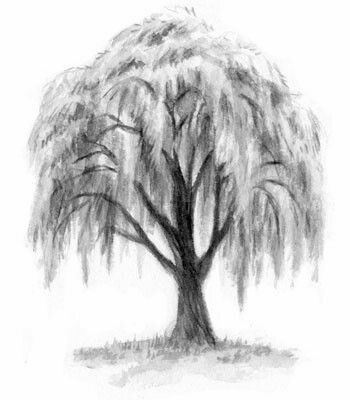 Hunters Tattoo, Lover Tattoos, Willow Tree Tattoo, Bonsai Tree Tattoos, Tree Sleeve Tattoo, Pine Tattoo, Tree Drawing Simple, Tat Inspiration, Tree Tattoo Back