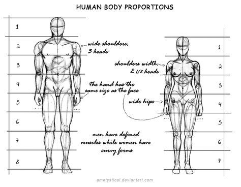 Human Body Proportions (Male and Female) by Ametystical “ For the man I used the so well known 8 heads canon. People usually use the same canon for females but since them are smaller than males I prefer to use 7 heads for drawing the woman. That... Body Proportion Drawing, Human Body Proportions, Head Proportions, Drawing Body Proportions, Drawing Proportions, Drawing Female Body, Human Anatomy Drawing, Human Figure Drawing, Human Drawing