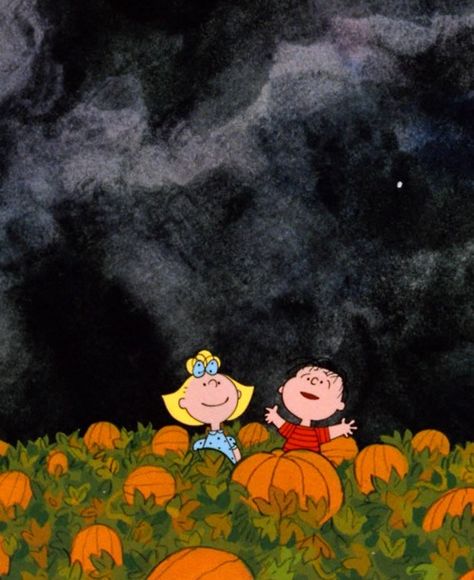 It's the Great Pumpkin, Charlie Brown Charlie Brown Wallpaper, The Great Pumpkin Charlie Brown, It's The Great Pumpkin Charlie Brown, Hello Kitty Imagenes, Great Pumpkin Charlie Brown, It's The Great Pumpkin, Charlie Brown Halloween, The Great Pumpkin, Peanuts Halloween