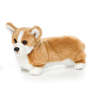 Lifelike Welsh Corgi Stuffed Animal by Nat and Jules Corgi Stuffed Animal, Mini Corgi, Corgi Stuff, Corgi Plush, Funny Corgi, Toy Dogs, Cuddly Toy, Corgi Dog, Cute Stuffed Animals