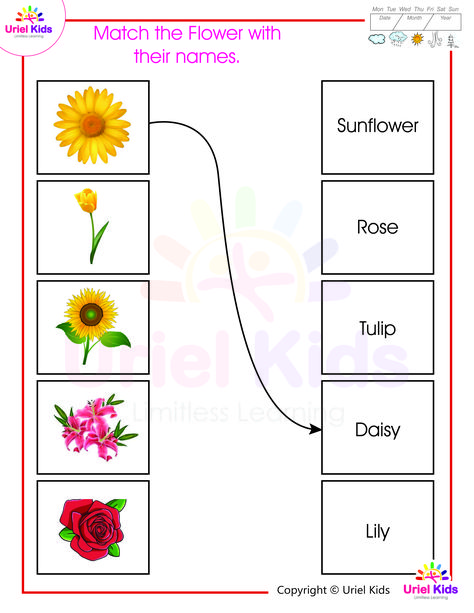 Let’s learn more about this gift of Nature by solving some fun worksheets on flowers! For more such useful worksheets visit: Uriel Kids is an exclusive platform for young children to embrace the joy of learning through activity based worksheets and interactive videos. #worksheets #worksheetsforkids #urielkids #urielkidsonlinepreschool #onlinelearning #education #learning #onlinelearning #children #preschool #childreneducation Worksheet On Flowers For Kindergarten, Flowers Activity Preschool, Flowers Worksheets Preschool, Flowers Worksheets For Kids, Flower Worksheets Preschool, Flowers Worksheet, Flower Worksheet, Teaching Safety, Happy Holi Video