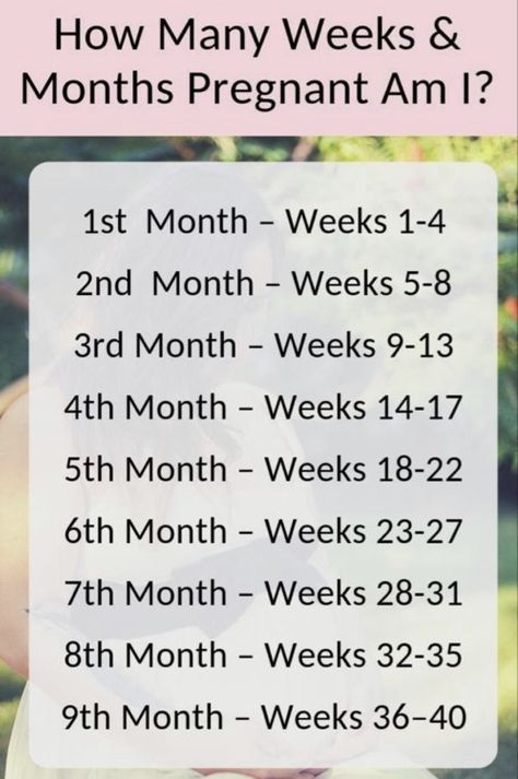 Weeks To Months Pregnant, Pregnancy Info, Parenting Mistakes, Baby Kicking, Pregnancy Information, Pumping Moms, Pregnancy Months, Baby Sleep Problems, Weeks Pregnant