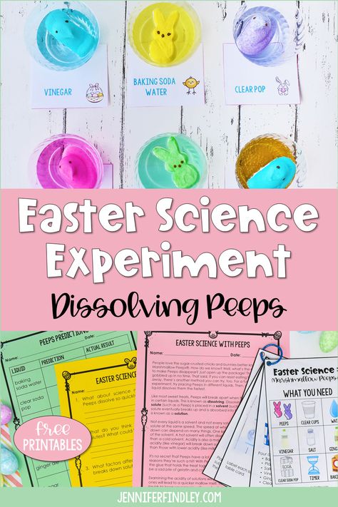 Peeps Experiment, Peeps Science Experiment, Easter Science Experiments, Easter Stem Activities, Free Reading Passages, Easter Stem, Easter Science, Holiday Classroom Activities, Jennifer Findley