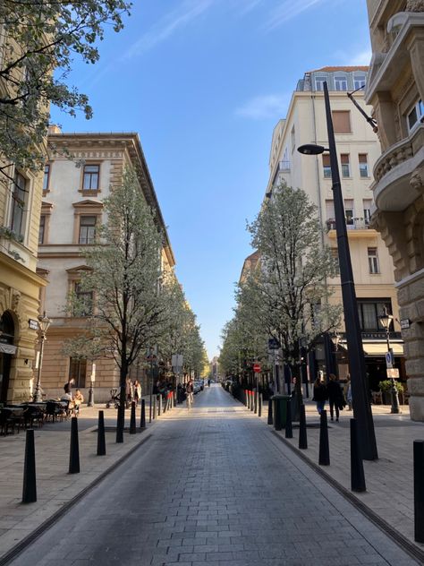 #Budapest #hungary #ststephens #square #spring #blossoms #trees #pedestrian #travel #pretty #oktoberstreet #city #trip #citylife Spring Blossoms, Pretty Pics, Budapest Hungary, City Trip, Photo Library, City Life, Pretty Pictures, Budapest, Hungary