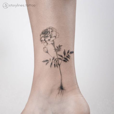 Marigold. Desert Marigold Tattoo, Marigold Fine Line Tattoo, Black And White Marigold Tattoo, Mary Gold Flower Tattoo, Marigold Tattoo Black And White, Marigold Sketch, Marigold Tattoo Design, Arm Wrap Tattoo, Marigold Tattoo