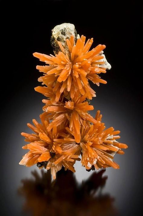 Orange Quartz -   Photographer at large Jeff Scovil photographed this quartz specimen for Richard Jackson at the Denver Show 2012. Students at Carnegie Melon University in Pittsburgh, Pennsylvania confirmed that hematite inclusions impart the orange color to this distinctive quartz.  #minerals #gemstone #crystals Minerals Crystals Stones, Minerals Crystals Rocks, Rocks And Fossils, Geology Rocks, Beautiful Crystals, Good Nutrition, Rock Minerals, Pretty Rocks, Beautiful Rocks