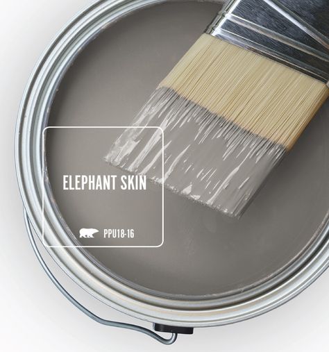 Colorfully, BEHR :: Trend Color Spotlight: Elephant Skin Deep Summer, Behr Ultra, Behr Marquee, Behr Paint, Green Paint Colors, Paint Primer, Interior Paint Colors, Green Hues, Paint Colors For Home