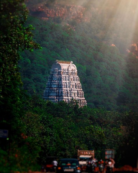 Lord Balaji Hd Wallpaper 4k, Venkateswara Swamy Images Hd 1080 Wallpaper, Tirumala Venkateswara Temple, Venkateswara Temple, Ancient Indian Architecture, Temple Photography, Amazing India, Lord Murugan Wallpapers, Ancient Temple