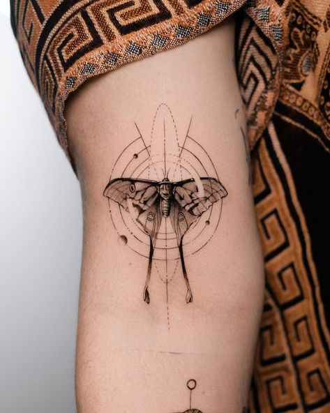 Moth Metamorphosis Tattoo, Abstract Moth Tattoo, Moth Tattoo Men, Moth Tattoo Stencil, Small Moth Tattoo, Metamorphosis Tattoo, Tattoo Drawings Sketches, Moth Tattoo Ideas, Moth Tattoo Meaning